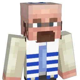 WalterCooks Minecraft avatar bust
