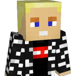Wam80 Minecraft avatar bust
