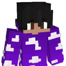 WanFelix12 Minecraft avatar bust
