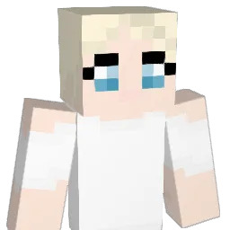 Wanderer__1 Minecraft avatar bust