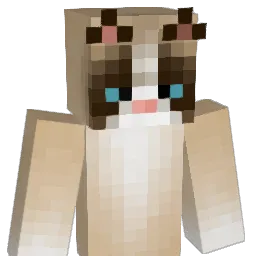 Warcain Minecraft avatar bust