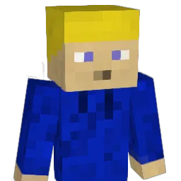 Wardje2008 Minecraft avatar bust