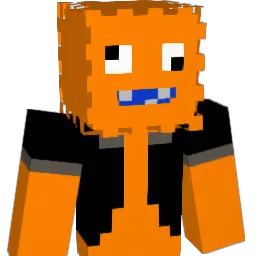 WariPoloHDG Minecraft avatar bust