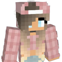 Warrior2026 Minecraft avatar bust