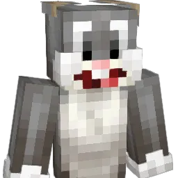 Warrior563902 Minecraft avatar bust