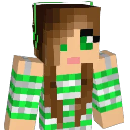 WarriorWish1 Minecraft avatar bust