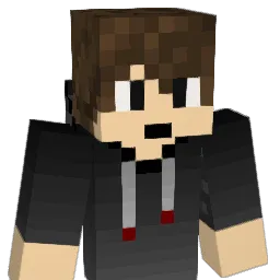WarsawWarrior3 Minecraft avatar bust