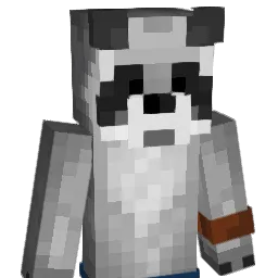 Waschbaer243 Minecraft avatar bust