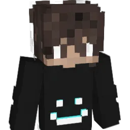 WashierPine Minecraft avatar bust