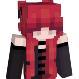 Wassidy Minecraft avatar bust