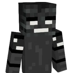 Wat_QuestionMark Minecraft avatar bust