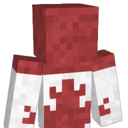 Watchman2006 Minecraft avatar bust