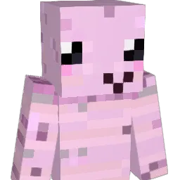 WaterWalvis123 Minecraft avatar bust