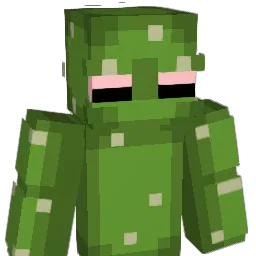 Watermeatsoup Minecraft avatar bust