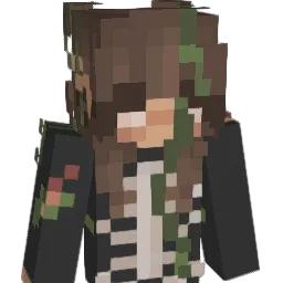 Waters24 Minecraft avatar bust