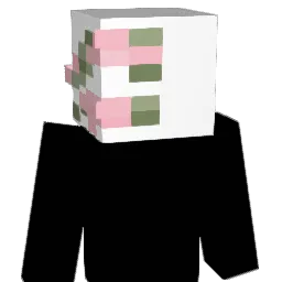 WayderTM