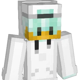 Wc_Ente568 Minecraft avatar bust