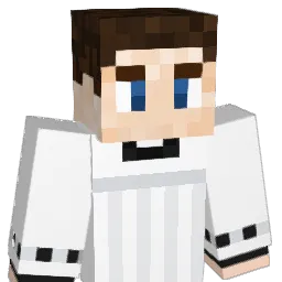 WeNeedVAC Minecraft avatar bust
