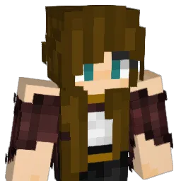 WeaponMaster207 Minecraft avatar bust
