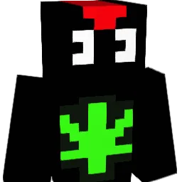 WebbyRaccoon201 Minecraft avatar bust