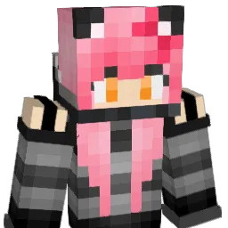 WeekDisaster Minecraft avatar bust