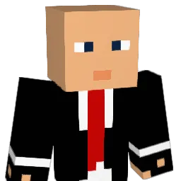 WeemaN0000 Minecraft avatar bust