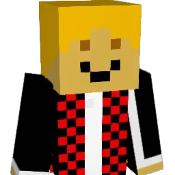 Weidi03 Minecraft avatar bust