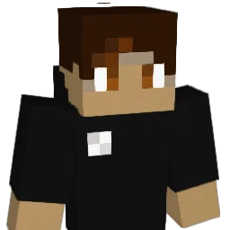 Wein_Lmao Minecraft avatar bust