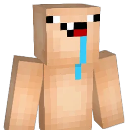 WelcomeRefugees Minecraft avatar bust
