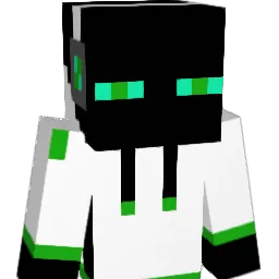 Wellensittich13 Minecraft avatar bust