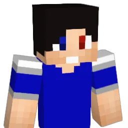 WelloWonder Minecraft avatar bust