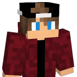 Wendi60's Minecraft skin