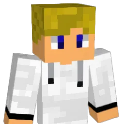 Wenok53 Minecraft avatar bust
