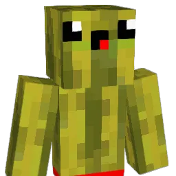 Wer0xx_ Minecraft avatar bust