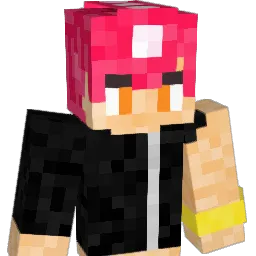Weregonnacrash Minecraft avatar bust