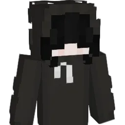 WernWWA's Minecraft skin