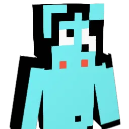 WetSmellySock Minecraft avatar bust