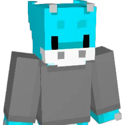 WetToast__ Minecraft avatar bust