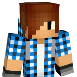 Wetor234 Minecraft avatar bust