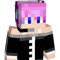 WhIteOutER Minecraft avatar bust