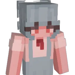 WhatIsPoc Minecraft avatar bust