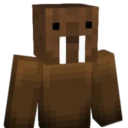 WhatTheHeck2 Minecraft avatar bust