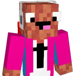 WhoStoleMyBaccon Minecraft avatar bust