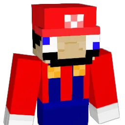 WhoisRy Minecraft avatar bust