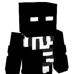 Whoist_ Minecraft avatar bust