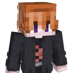 Whowe005 Minecraft avatar bust