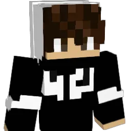 Why4rehaze Minecraft avatar bust
