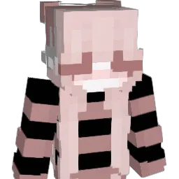 WhyHaven Minecraft avatar bust