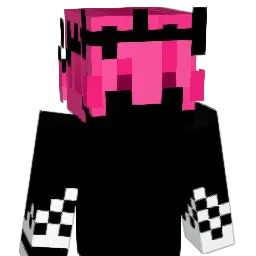 Why______'s Minecraft skin