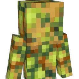 Whyistimehere